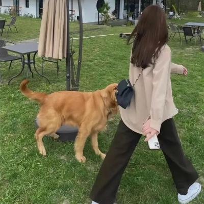 罗贝尔塔